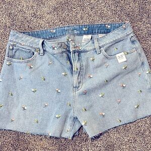 Jean Shorts Brand: Time and Tru Size: 14 High Rise